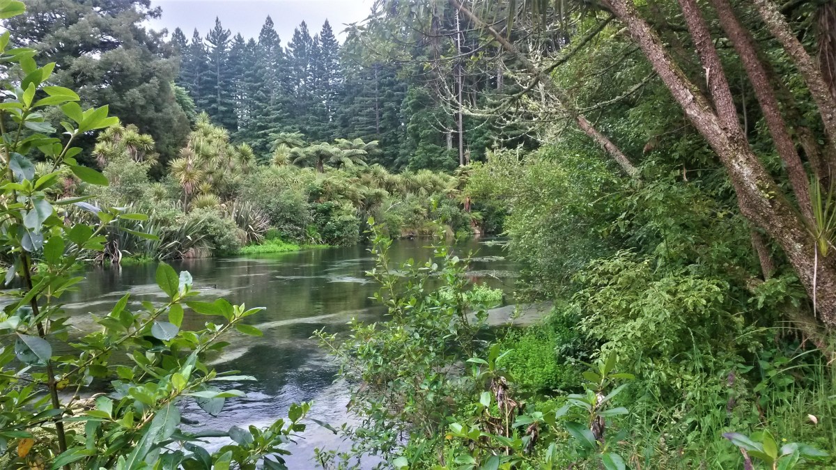 20161210_142721_richtonehdr