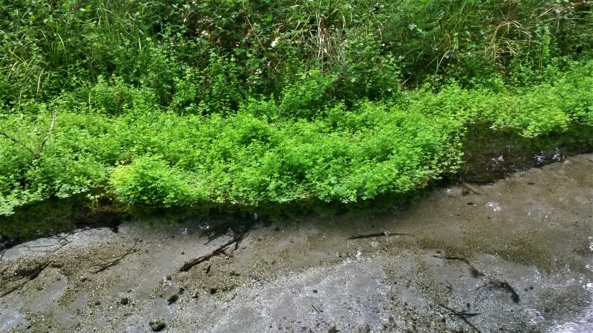 20161210_151121_richtonehdr