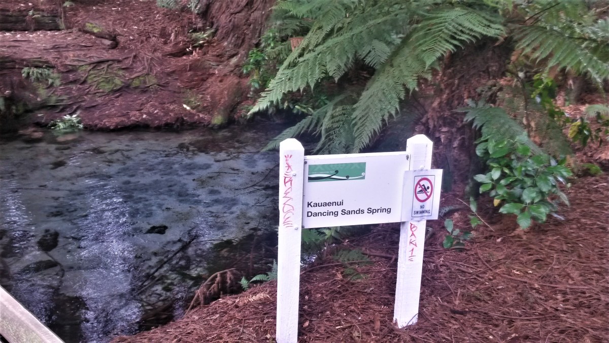 20161210_151244_richtonehdr