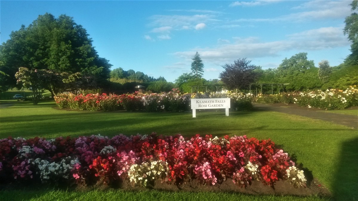 20161211_191035_richtonehdr