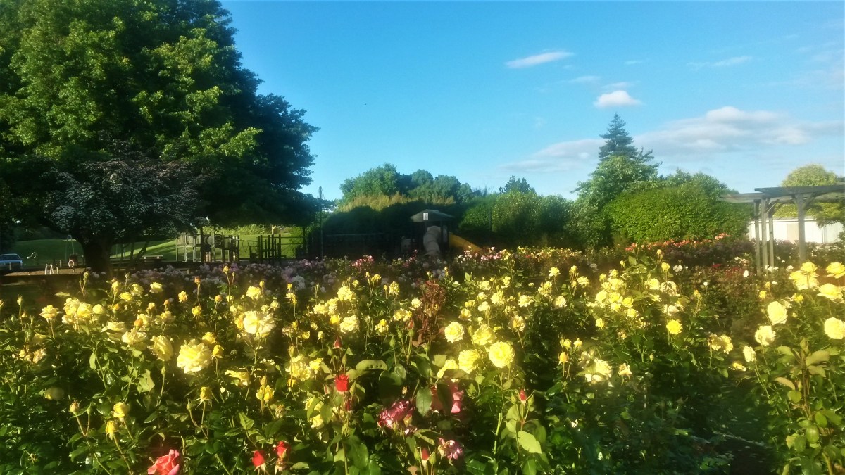 20161211_191304_richtonehdr