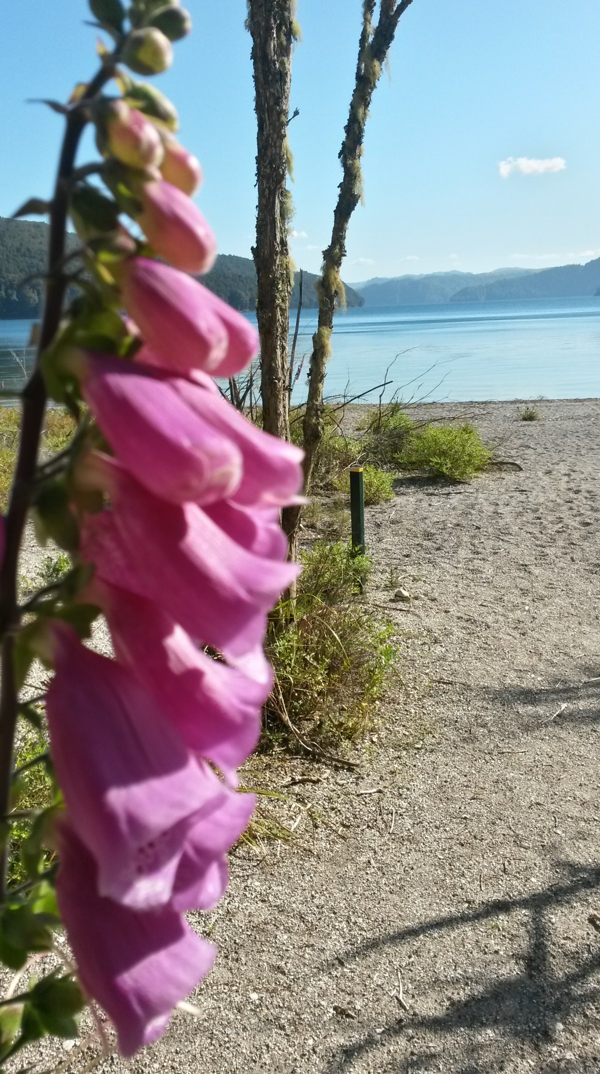 20161217_171920_richtonehdr