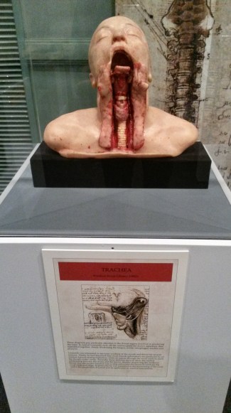 20161219_161138_richtonehdr