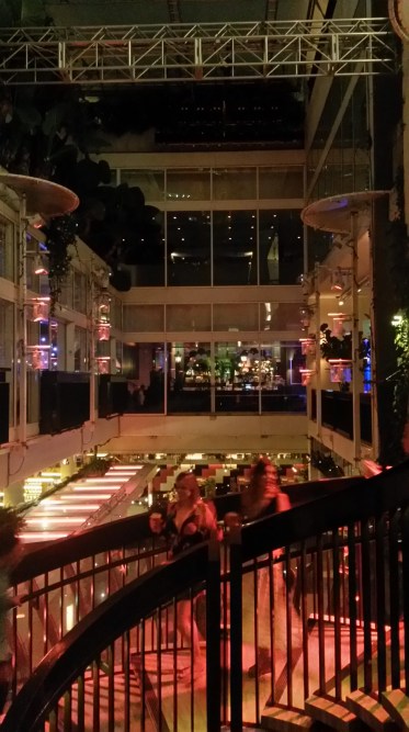 20170302_215245_lls1