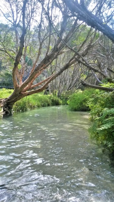 20170313_145917_Richtone(HDR)